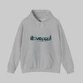 I Love Pool 1 Hoodie